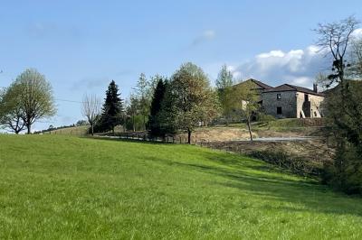 Salle de bain avec deux lavabos sur pied, une douche vitrée et des murs en pierre apparente.