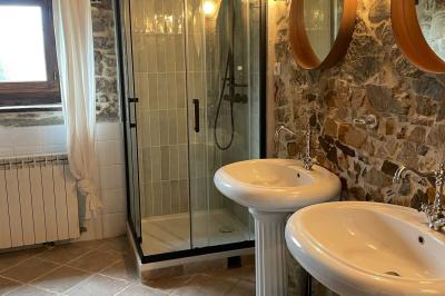 Salle de bain avec deux lavabos sur pied, une douche vitrée et des murs en pierre apparente.