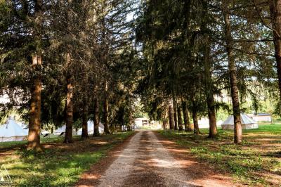 Rangée de lavabos avec miroirs dans une salle de bain aux murs blancs et carrelage vert et blanc.