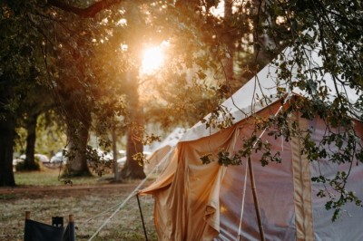 Deux personnes pratiquent le yoga en plein air sur des tapis, entourées de végétation.