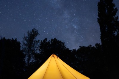 Deux personnes pratiquent le yoga en plein air sur des tapis, entourées de végétation.