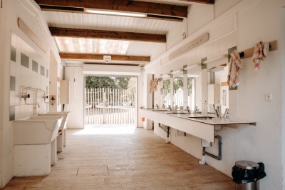 Deux personnes pratiquent le yoga en plein air sur des tapis, entourées de végétation.
