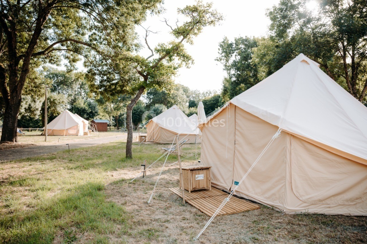 Tentes en toile beige installées dans un espace naturel entouré d'arbres, avec un sol herbeux et ensoleillé.