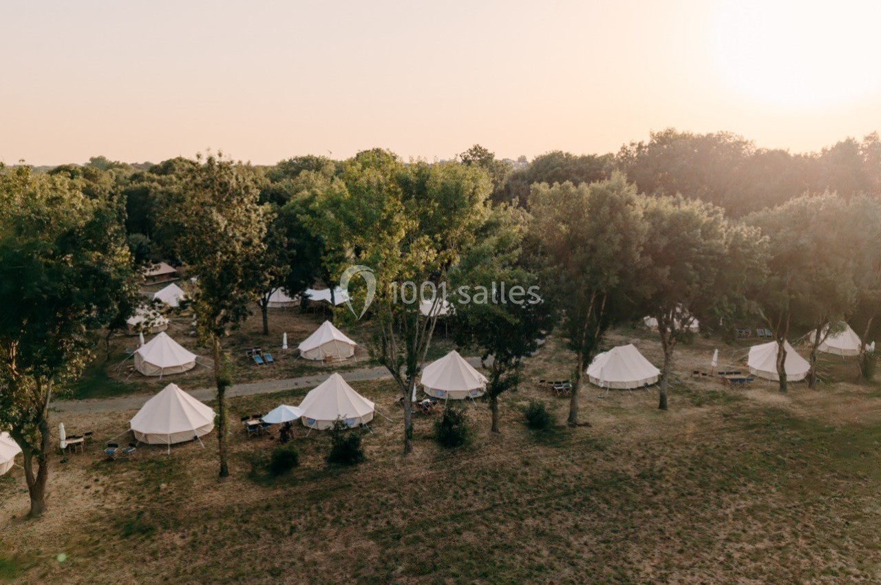 Tentes blanches installées dans une clairière boisée au coucher du soleil.