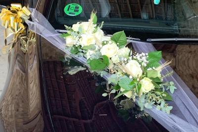 Jeune femme portant une couronne de fleurs blanches, vêtue de dentelle blanche, dans un jardin verdoyant.