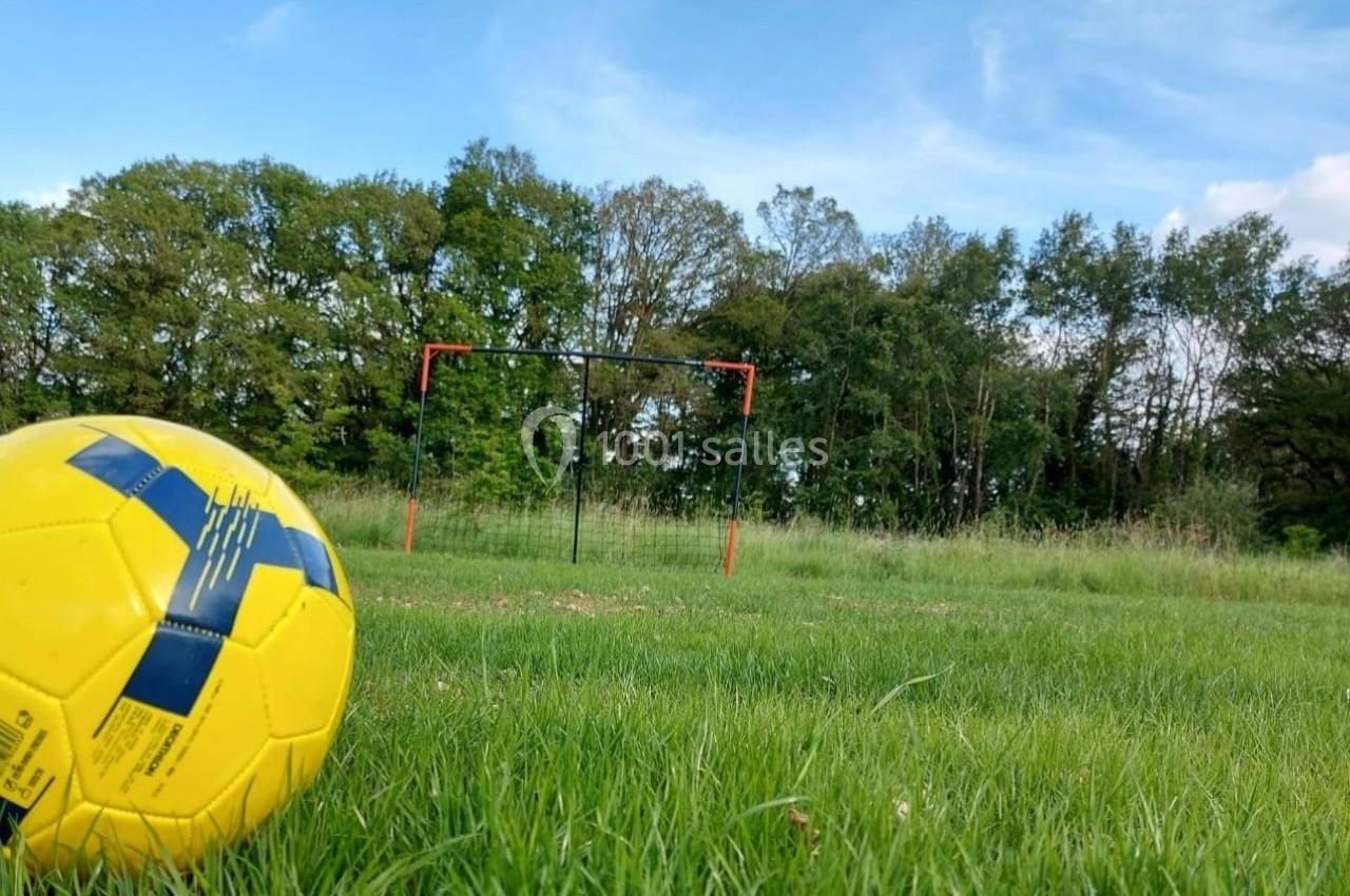 Ballon de football jaune posé sur une pelouse verte, avec un but de football et des arbres en arrière-plan.