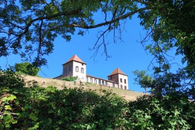 Salon lumineux avec canapé beige, table basse en bois, cuisine ouverte et séparation en bois devant un lit.