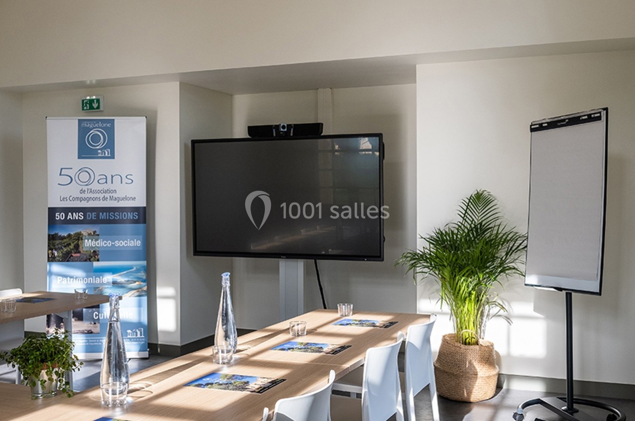 Salle de réunion lumineuse avec écran, paperboard, plantes et tables équipées de documents et bouteilles d'eau.