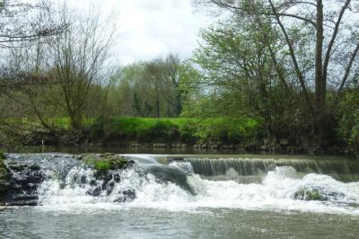 Chambre mansardée avec lit double, serviettes pliées, cygne en serviette, fauteuil et lumière naturelle.