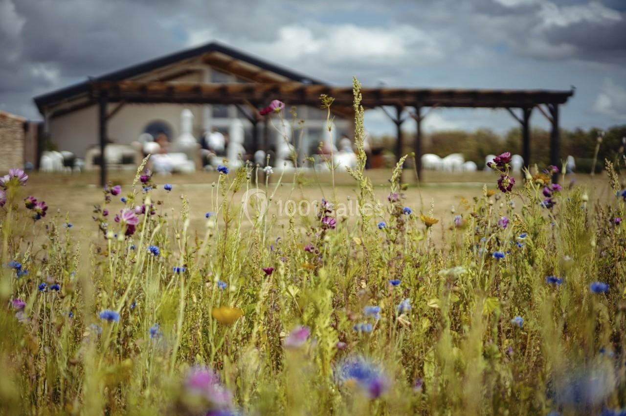Champ de fleurs sauvages en premier plan avec un bâtiment moderne et une pergola en arrière-plan sous un ciel nuageux.