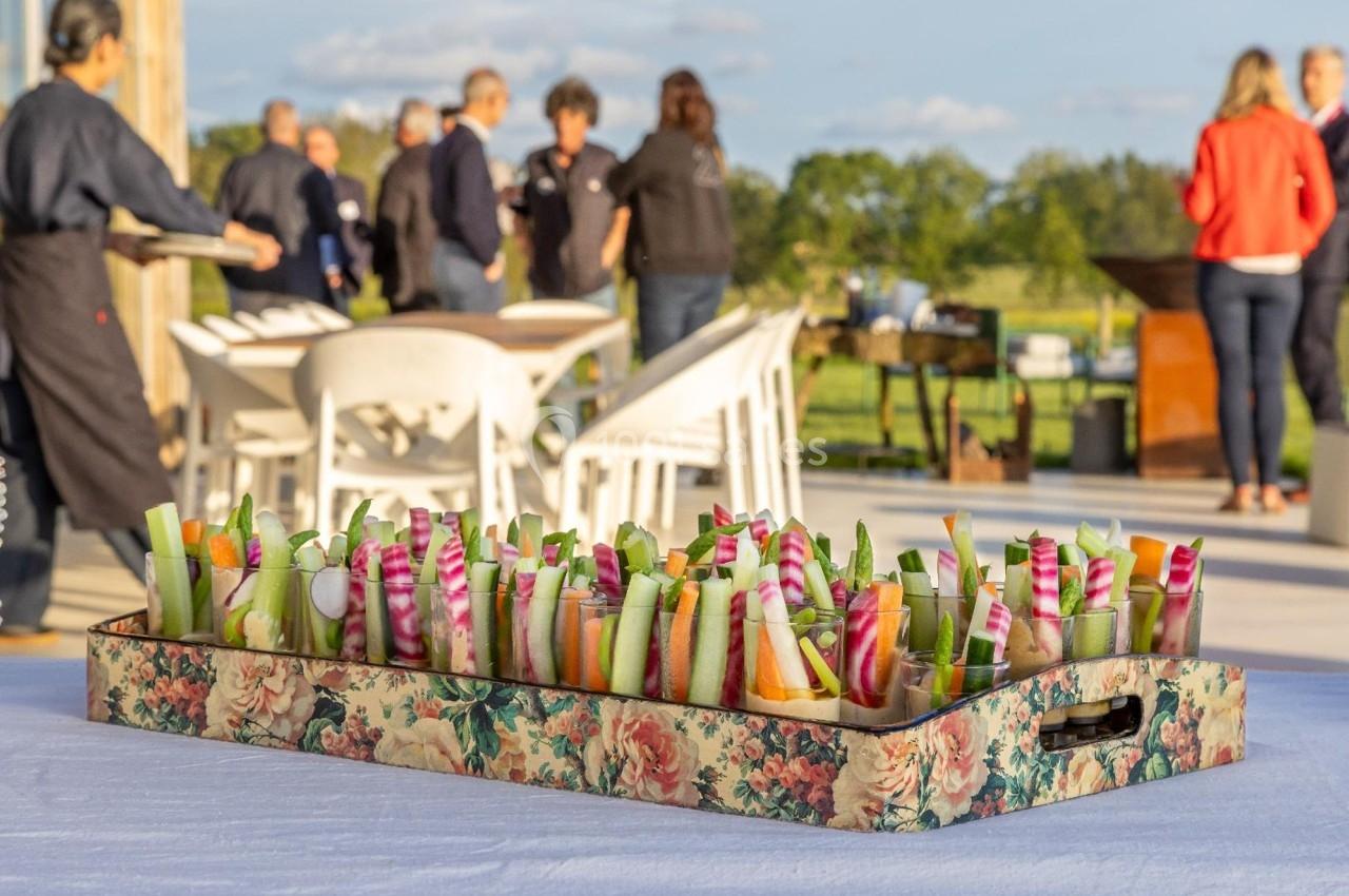 Plateau de légumes frais coupés en bâtonnets, présenté sur une table lors d'un événement en extérieur.