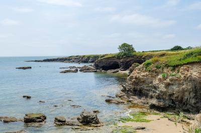 Deux chaises longues colorées devant une décoration murale représentant une plage avec un palmier.