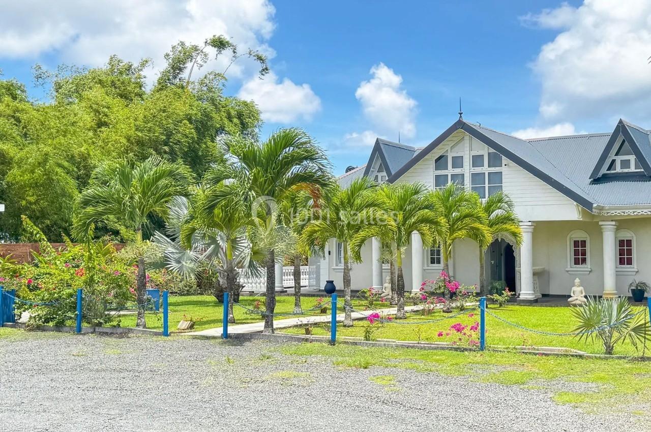 Maison blanche entourée de palmiers et d'un jardin fleuri, avec ciel bleu et nuages en arrière-plan.