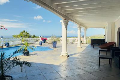 Piscine extérieure entourée de plantes fleuries, statues décoratives et vue dégagée sur un paysage tropical.