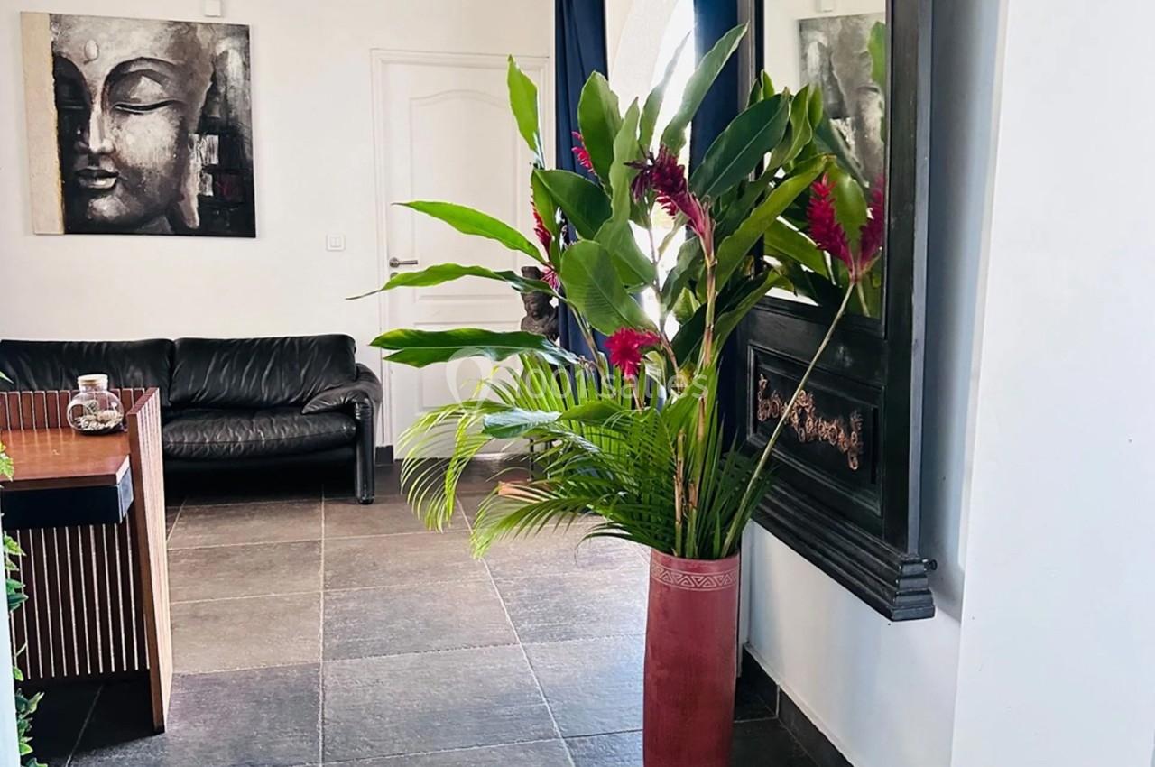Plante tropicale dans un grand vase rouge, placée dans un salon moderne avec canapé noir et tableau décoratif.