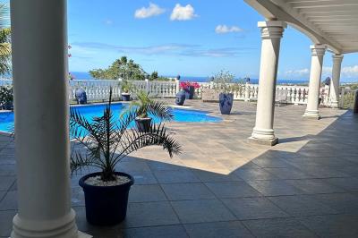 Piscine extérieure entourée de plantes fleuries, statues décoratives et vue dégagée sur un paysage tropical.