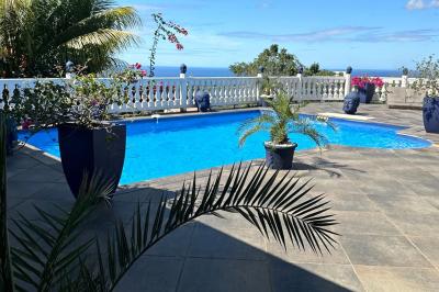 Piscine extérieure entourée de plantes fleuries, statues décoratives et vue dégagée sur un paysage tropical.