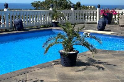 Piscine extérieure entourée de plantes fleuries, statues décoratives et vue dégagée sur un paysage tropical.