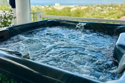 Piscine extérieure entourée de plantes fleuries, statues décoratives et vue dégagée sur un paysage tropical.