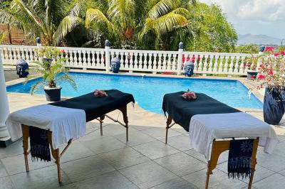 Piscine extérieure entourée de plantes fleuries, statues décoratives et vue dégagée sur un paysage tropical.