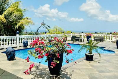 Piscine extérieure entourée de plantes fleuries, statues décoratives et vue dégagée sur un paysage tropical.