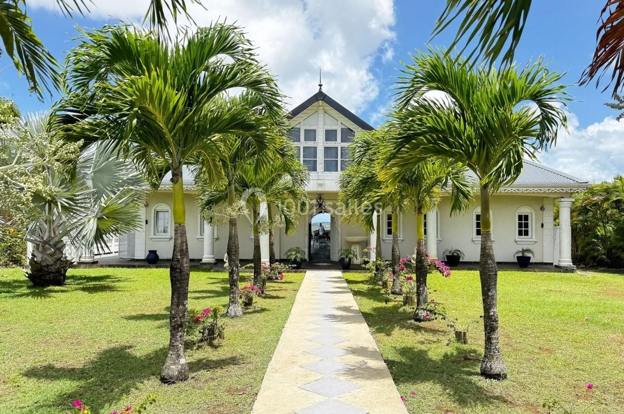 Allée bordée de palmiers menant à une maison blanche avec un toit en pointe, entourée de verdure.