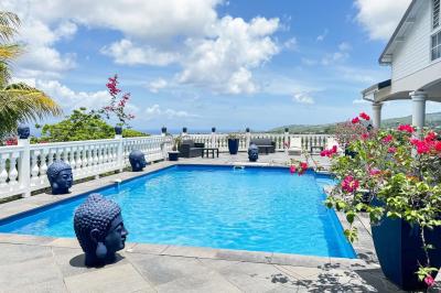 Piscine extérieure entourée de plantes en pot, avec vue sur un paysage tropical et un ciel dégagé.