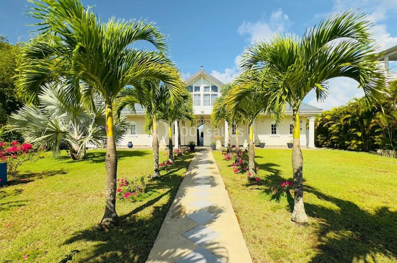 Allée bordée de palmiers menant à une maison blanche avec un toit en pente, entourée de pelouse et de fleurs.