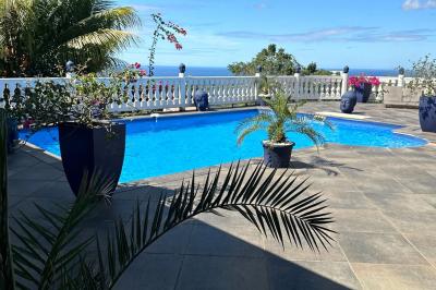 Piscine extérieure entourée de plantes en pot, avec vue sur un paysage tropical et un ciel dégagé.