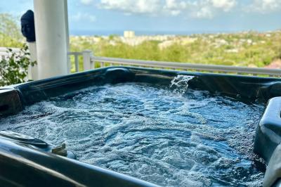 Piscine extérieure entourée de plantes en pot, avec vue sur un paysage tropical et un ciel dégagé.