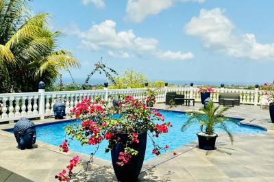 Piscine extérieure entourée de plantes en pot, avec vue sur un paysage tropical et un ciel dégagé.