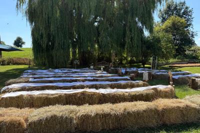 Cuisine ouverte avec plan de travail en bois, armoires vertes, éclairage au plafond et poutres apparentes.