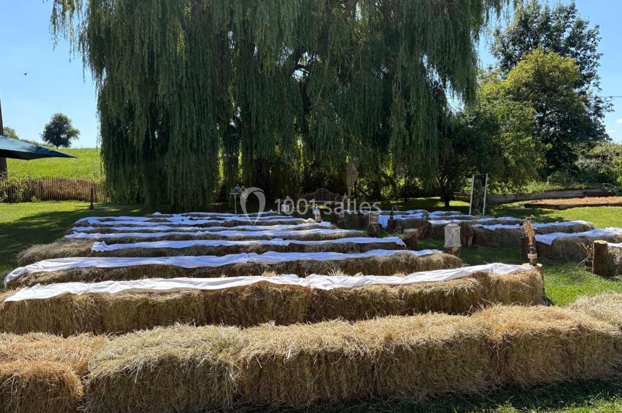 Bottes de paille alignées en rangées sous un grand saule, utilisées comme sièges en extérieur.