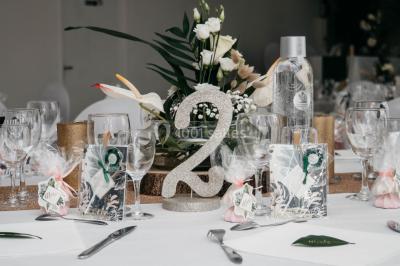 Location salle Le Bignon (Loire-Atlantique) - Domaine Nantais #14