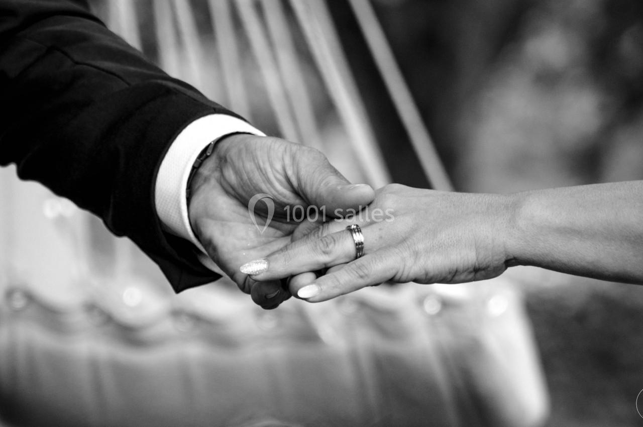 Location salle Le Bignon (Loire-Atlantique) - Domaine Nantais #5