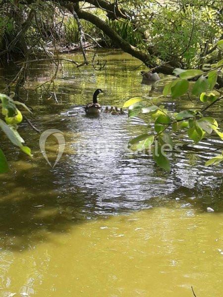 Location salle La Houssaye-Béranger (Seine-Maritime) - Le Clos Normand #18