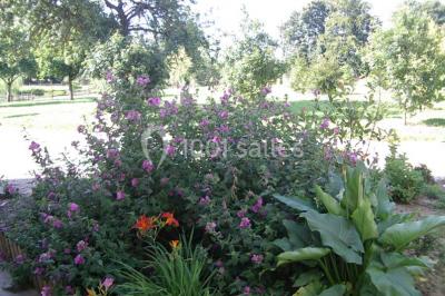 Location salle La Houssaye-Béranger (Seine-Maritime) - Le Clos Normand #24