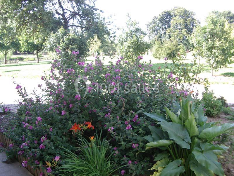 Location salle La Houssaye-Béranger (Seine-Maritime) - Le Clos Normand #9