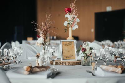 Éoliennes dans un paysage rural avec des vignes au premier plan et un ciel nuageux en arrière-plan.