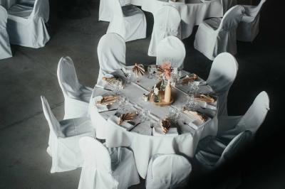 Éoliennes dans un paysage rural avec des vignes au premier plan et un ciel nuageux en arrière-plan.