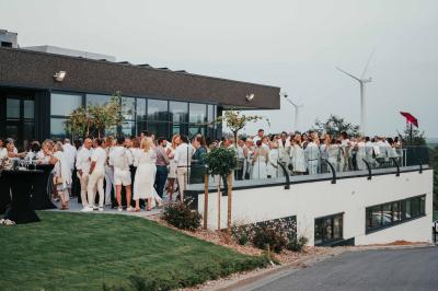 Éoliennes dans un paysage rural avec des vignes au premier plan et un ciel nuageux en arrière-plan.