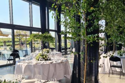 Éoliennes dans un paysage rural avec des vignes au premier plan et un ciel nuageux en arrière-plan.