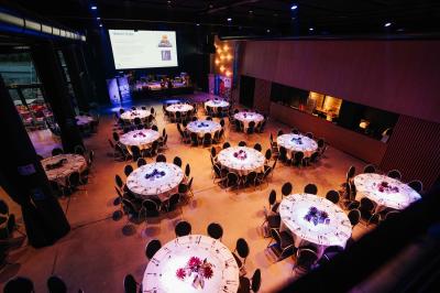 Éoliennes dans un paysage rural avec des vignes au premier plan et un ciel nuageux en arrière-plan.