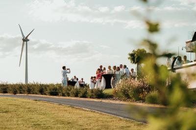 Éoliennes dans un paysage rural avec des vignes au premier plan et un ciel nuageux en arrière-plan.