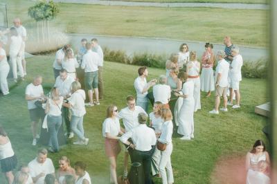Éoliennes dans un paysage rural avec des vignes au premier plan et un ciel nuageux en arrière-plan.