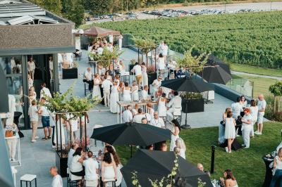 Éoliennes dans un paysage rural avec des vignes au premier plan et un ciel nuageux en arrière-plan.