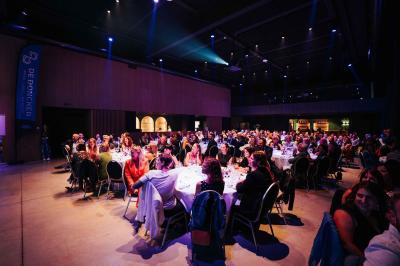 Éoliennes dans un paysage rural avec des vignes au premier plan et un ciel nuageux en arrière-plan.