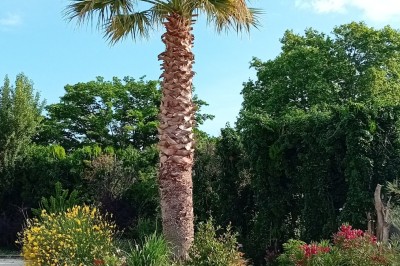 Cuisine professionnelle équipée avec plans de travail en inox, cuisinières, hotte et four à micro-ondes.