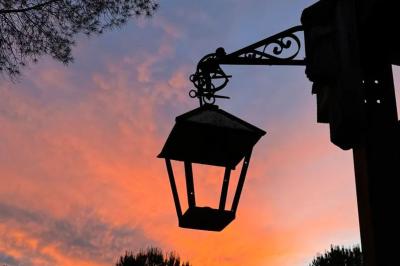 Trois pots de rillettes de canard et de poulet posés sur un lit de feuilles vertes en extérieur.