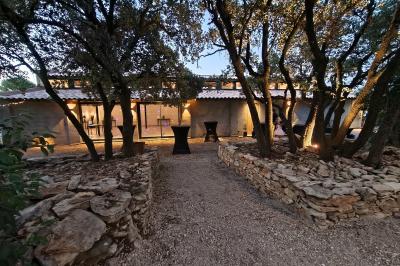 Trois pots de rillettes de canard et de poulet posés sur un lit de feuilles vertes en extérieur.